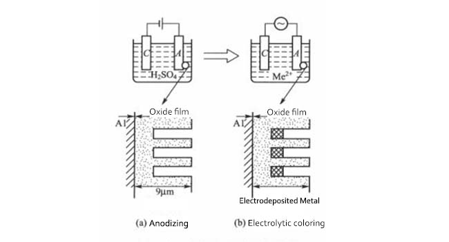 Electrolytic coloring